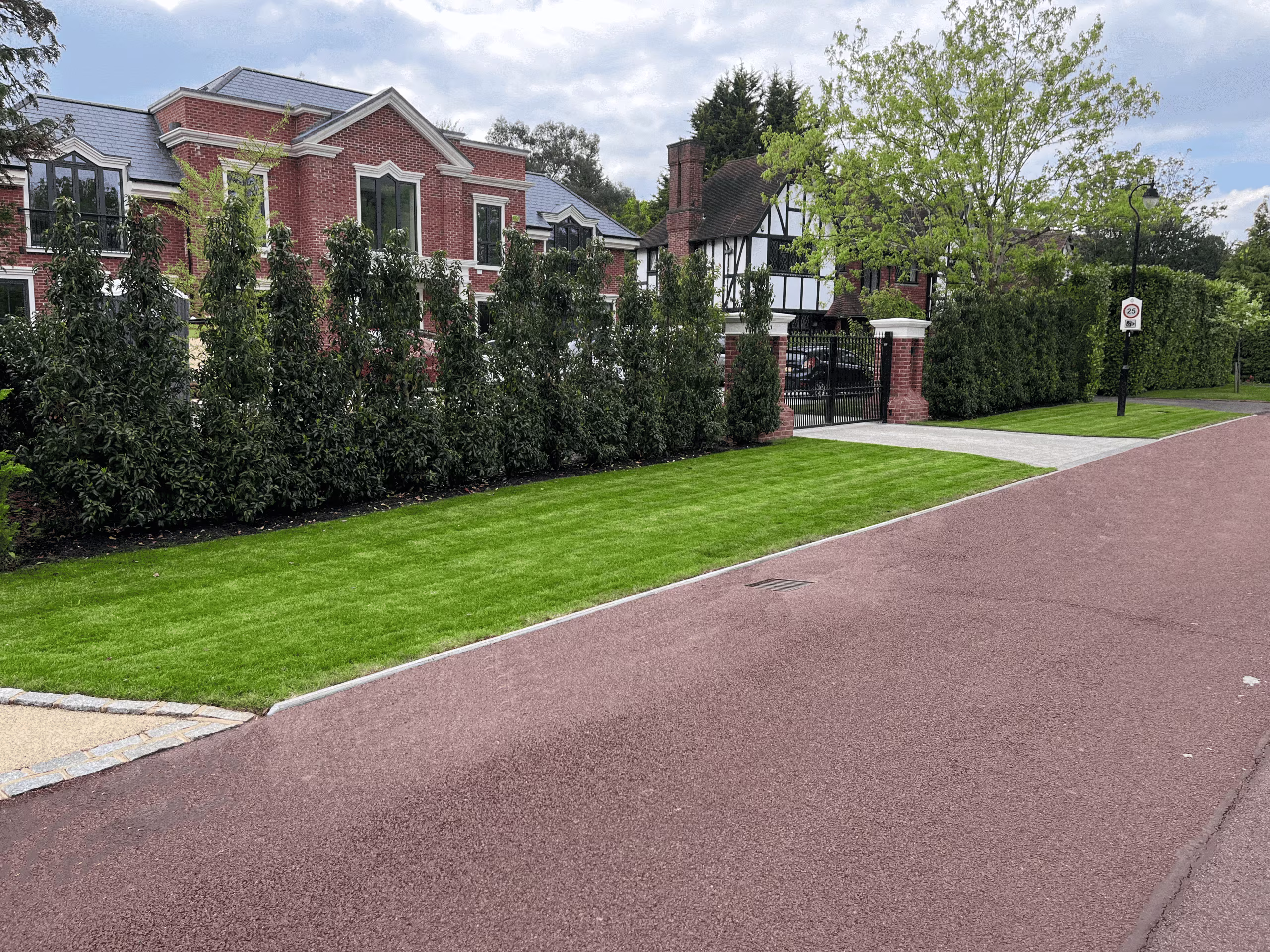 planting case study